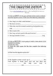 Think you know a lot about halloween? Digestive System Worksheets