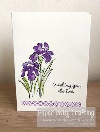 In our clearance range you'll find a selection of reduced and discontinued cheap craft supplies; Paper Daisy Crafting 6 Card Making For Beginners Two Step Stamping Card Making Card Making Supplies Handmade Cards Stampin Up
