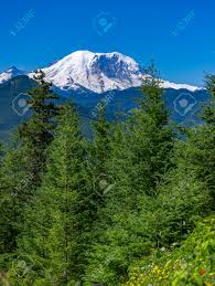 Mt. Rainier Washington State Park Views Of The Peak Over The ...