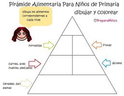 Piramide Alimenticia Para Niños De Primaria Para Colorear