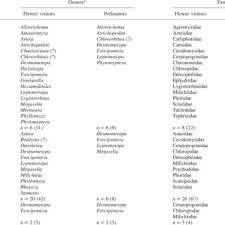 Image result for Riocreuxia chrysochroma