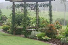 Daydream Landscaping Amp Construction Northern Brisbane Strathpine Elimbah North Lakes Dayboro An Country Garden Design Garden Design Climbing Plants