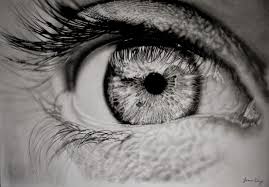 Pencil Drawings By South African Artist Jono Dry Habibistan Art On the atlantic coast southwards from the desert border with namibia. south african artist jono dry