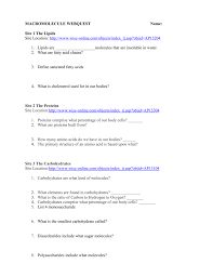 Biomolecules Worksheet Key Kids Activities
