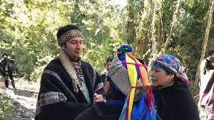 Diego ancalao gavilán nació en la ciudad de purén, en la región de la araucanía, hace 40 años. Diego Ancalao El Primer Mapuche Que Es Elegido Como Candidato A Presidente En Chile Rt
