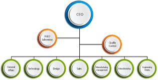 Organization Chart Ewha Eco System Co Ltd