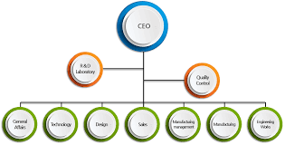 organization chart ewha eco system co ltd