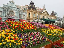 Beliau saat itu memang menjadi ketua yayasan bunga nusantara, dan membangun taman ini sebagai area agrowisata. Tiket Everland Korea Selatan Themepark Terbesar Di Korea