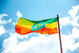 Jul 13, 2021 05:00 pm: Ethiopia More Than 1 8 Million Internally Displaced In 2020 Gsdm