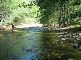 We did not find results for: Trail Quest Manzana Schoolhouse Songs Of The Wilderness
