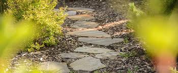 What's the easiest way to design a yard? Diy Landscape Design Tips Salisbury Greenhouse