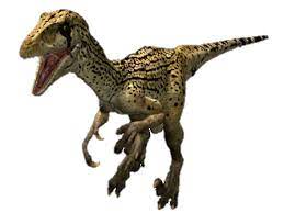 The latest tweets from utahraptor project (@utahraptortrap). Utahraptor Dinosaur Wiki Fandom