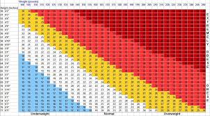 50 correct ideal bmi chart