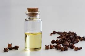 Applying clove oil on the scalp — whether used in a high concentration of eugenol or not — is not a guaranteed method of reversing hair loss. Clove Mdedge Dermatology