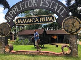 Irie mystic jamaican kitchen is rated accordingly in the following categories by tripadvisor travelers: Savoring Jamaica Event Leads The Way In The Caribbean S Gastronomy Renaissance Cuisine Noir Magazine