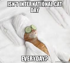 Lolcats is the best place to find and submit funny cat memes and other silly cat materials to share with the world. Isn T International Cat Day Everyday Pampered Cat Meme Make A Meme