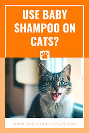 Can You Use Baby Shampoo On Cats The Pet Supply Guy Cat Care Tips Baby Shampoo Cats