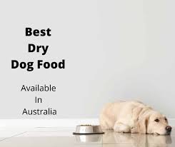 5 dog food brands to avoid. 5 Best Dry Dog Food Options Australia 2021 Buyers Guide Gentledogtrainers Com Au