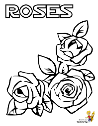 10 new printable coloring to color and relax. Sweet Rose Flowers Coloring Pages 26 Free Rose Coloring Pages