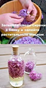 как избавиться от запаха в обуви за одну ночь Zasypte Cvety Sireni V Banku I Zalej Rastitelnym Maslom In 2020 Natural Health Remedies Sick Remedies Health And Beauty