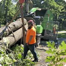 This is a virtual course with a live instructor. Iron Tree Service Ma Certified Arborists 24 7 Availability