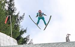 Trudne chwile w locie kamila stocha. Stefan Kraft Wikipedia