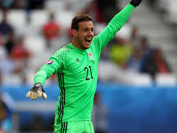 Wales Vs Slovakia Reaction Stand In Goalkeeper Danny Ward Hails Crazy Year After Unexpected Euro 2016 Appearance The Independent The Independent