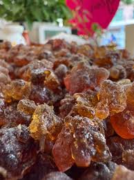 Image result for Commiphora kua