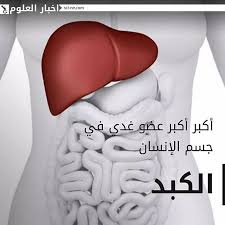 اخبار العلوم طب صحة غرائب عجائب 2020 علم هل تعلم متع عقلك صور اخبار حكم اخبار العلوم طب صحة غرائب عجائب 2020 علم هل تعلم متع Gnc
