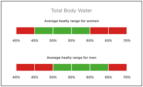 understanding your measurements tanita