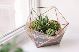 The basics of terrarium building. How To Make A Terrarium Build A Terrarium In 6 Steps