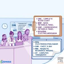 Medical Terminology Made Easy: 100 Essential Terms for Healthcare Students  - Osmosis Blog