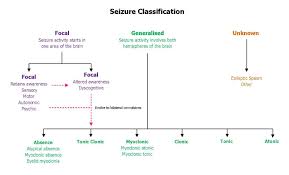 Seizure Classification Chart Epilepsy Seizure Types Of