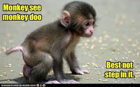 Proof That Monkeys Are Intelligent Nevermind The Sign Language Seeing Poo Before You Step In It That S More Than Cute Baby Monkey Monkeys Funny Cute Monkey