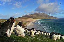 The falkland islands (/ ˈ f ɔː l k l ə n d /; Falkland Islands Wikipedia