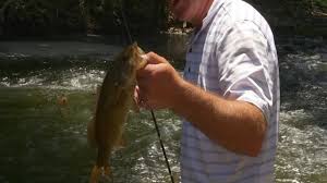 Maybe you would like to learn more about one of these? Kayak Fishing For Smallmouth On Elkhorn Creek With Canoe Kentucky Youtube