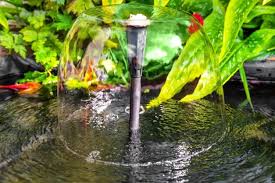 Comment Construire Un Bassin Pour Un Petit Jardin Petits Jardins Jardins Comment Construire