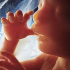 Sectiunea noastra care iti prezinta sarcina pe saptamani si luni iti va deschide o mica fereastra magica, prin care poti privi cu interes primele semne de sarcina si, mai ales si nu uita sa faci poze, multe poze, ca sa iti amintesti de sarcina pe trimestre, pe luni, pe saptamani, pe zile! Sarcina Pe Saptamani Poze Sarcina Pe Saptamani Video