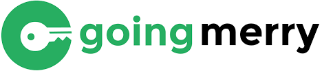 Image result for going merry images