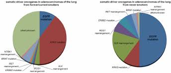 pie chart of the frequency of driver oncogene mutations in