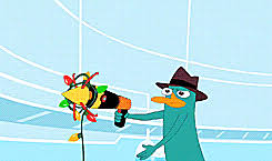 Maybe you would like to learn more about one of these? Phineas And Ferb Gifs Primo Gif Latest Animated Gifs