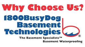 Search a wide range of information from across the web with websearch101.com 1 800 Busydog Basement Technologies Fast Consistent High Quality Service Youtube