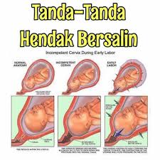 We did not find results for: Tanda Tanda Hendak Bersalin Mommy Me Terengganu Facebook