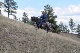 Maybe you would like to learn more about one of these? Man Endurance Riding A Training Spanish Mustang Uphill Stock Photo Picture And Royalty Free Image Image 5066326