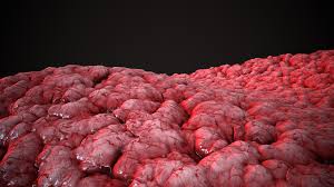 نتیجه جستجوی لغت [gore] در گوگل