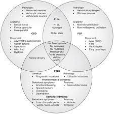 Are Frontotemporal Lobar Degeneration Progressive Supranuclear Palsy And Corticobasal Degeneration Distinct Diseases Nature Reviews Neurology
