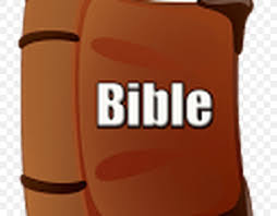 Amplified Bible The King James Version New American Standard Bible The Living Bible Png 800x640px Bible