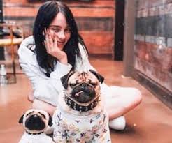 Billie Billie Eilish And Eilish Image Billie Billie Eilish Puppy Tshirt