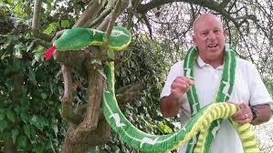 Colin and the Snake