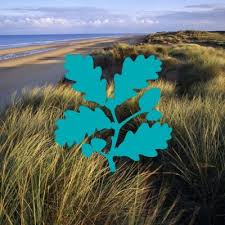 Immagine di formby point, formby: National Trust Formby Ntformby Twitter